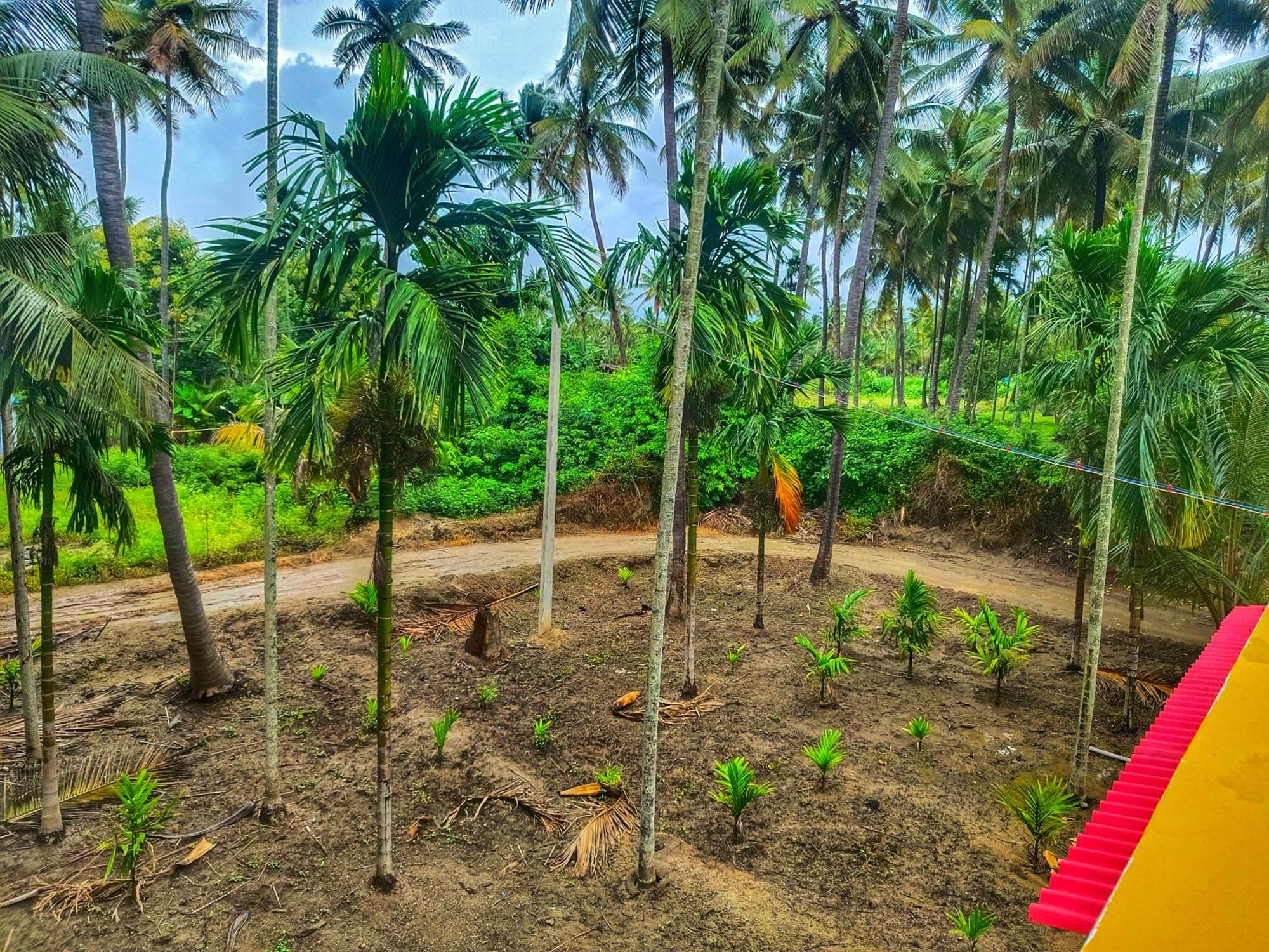 Shivalaya Farmstay Located Amdist Coconut Farm With River Access Near Isha,Adiyogi,Siruvani Alāndurai Eksteriør bilde