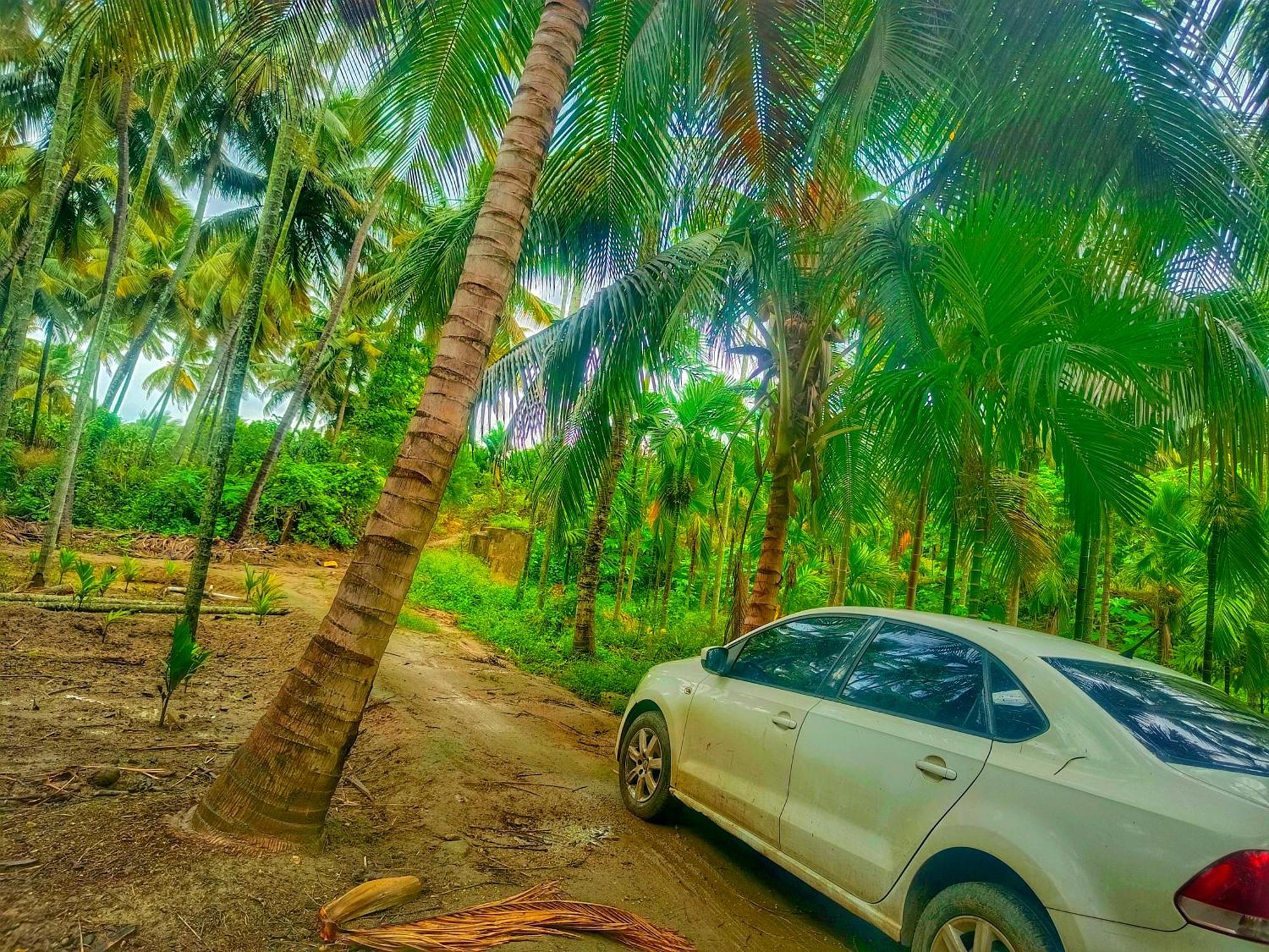 Shivalaya Farmstay Located Amdist Coconut Farm With River Access Near Isha,Adiyogi,Siruvani Alāndurai Eksteriør bilde